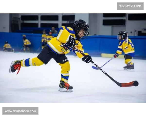 2021年冰球赛事,冰雪激情：2018年度冰球锦标赛全纪录之荣耀征程与传奇诞生